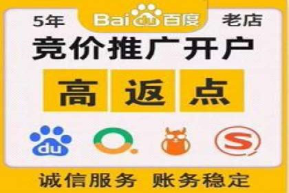 百度推广公司案例解析：如何利用大数据优化营销策略